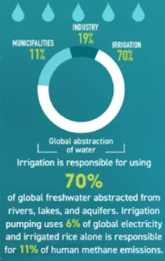 70% lượng nước ngọt sử dụng trên toàn cầu dành cho hoạt động nông nghiệp