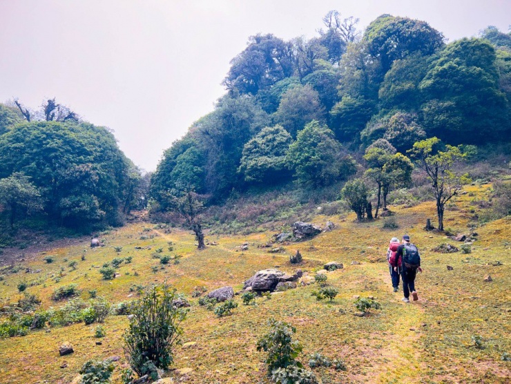 Đường lên đỉnh Sa Mu được giới leo núi đánh giá là không khó để đi, nhưng cũng không quá dễ dàng cho những người lần đầu trekking…