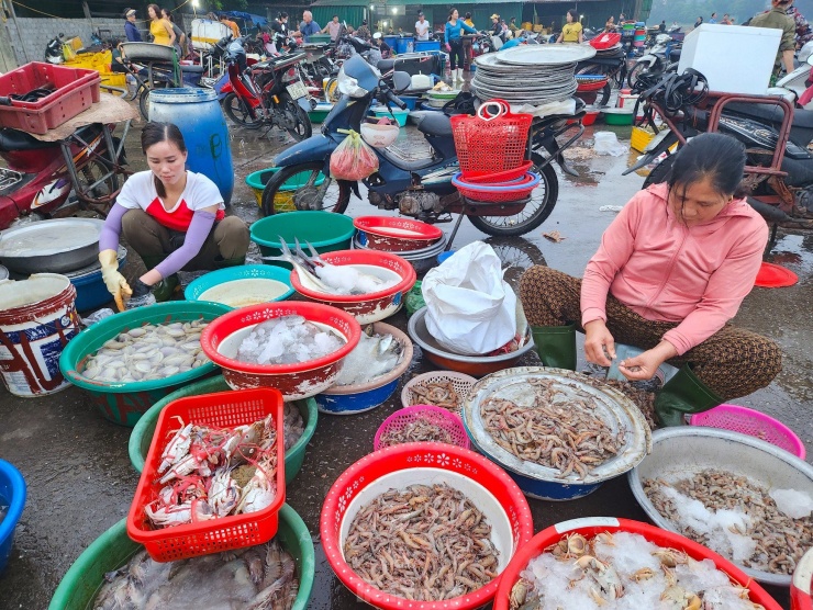 Hơn 10 năm qua, cứ đều đặn 4h sáng hàng ngày hai mẹ con chị Phùng Thị Hậu (35 tuổi, trú phường Nghi Thủy) lại ra bến cá Nghi Thủy để thu mua lại hải sản của các tàu thuyền về bến. Hải sản mà chị Hậu thường mua là các loại tôm cua, ghẹ, cá, ốc... Hải sản tươi ngon nên chị Hậu luôn cố thu mua thật nhiều để mang đi các khu chợ hải sản bán cho người dân.