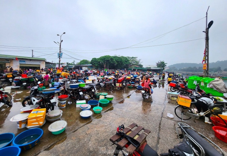 Bến cá Nghi Thủy là nguồn cung cấp hải sản lớn cho người dân cũng như các cơ sở kinh doanh dịch vụ ăn uống trên địa bàn thị xã Cửa Lò và các chợ huyện, thành, thị lân cận.