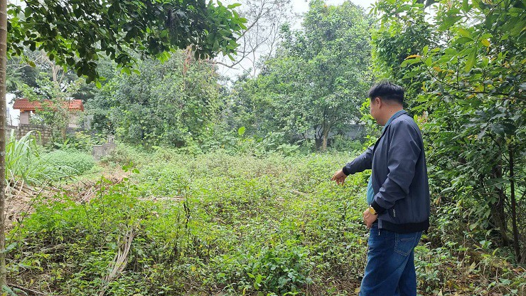 Nhà đầu tư nên cẩn trọng, kiểm tra pháp lý về lô đất từ các cơ quan có thẩm quyền trước khi xuống tiền