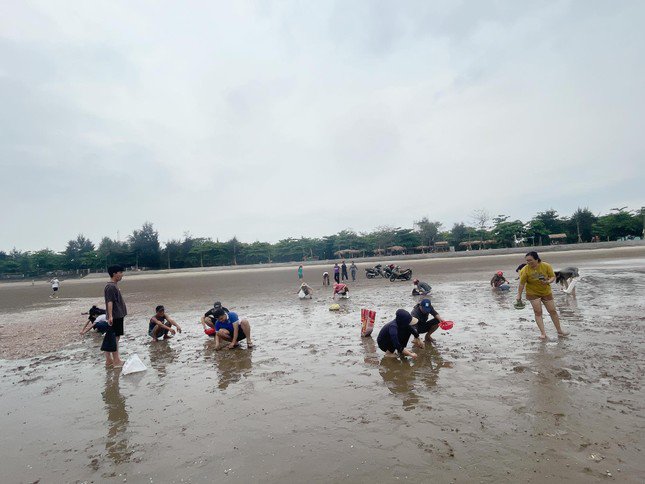 &#39;Lộc biển&#39; dạt vào trắng bờ cát, người dân đua nhau nhặt về ăn - 2