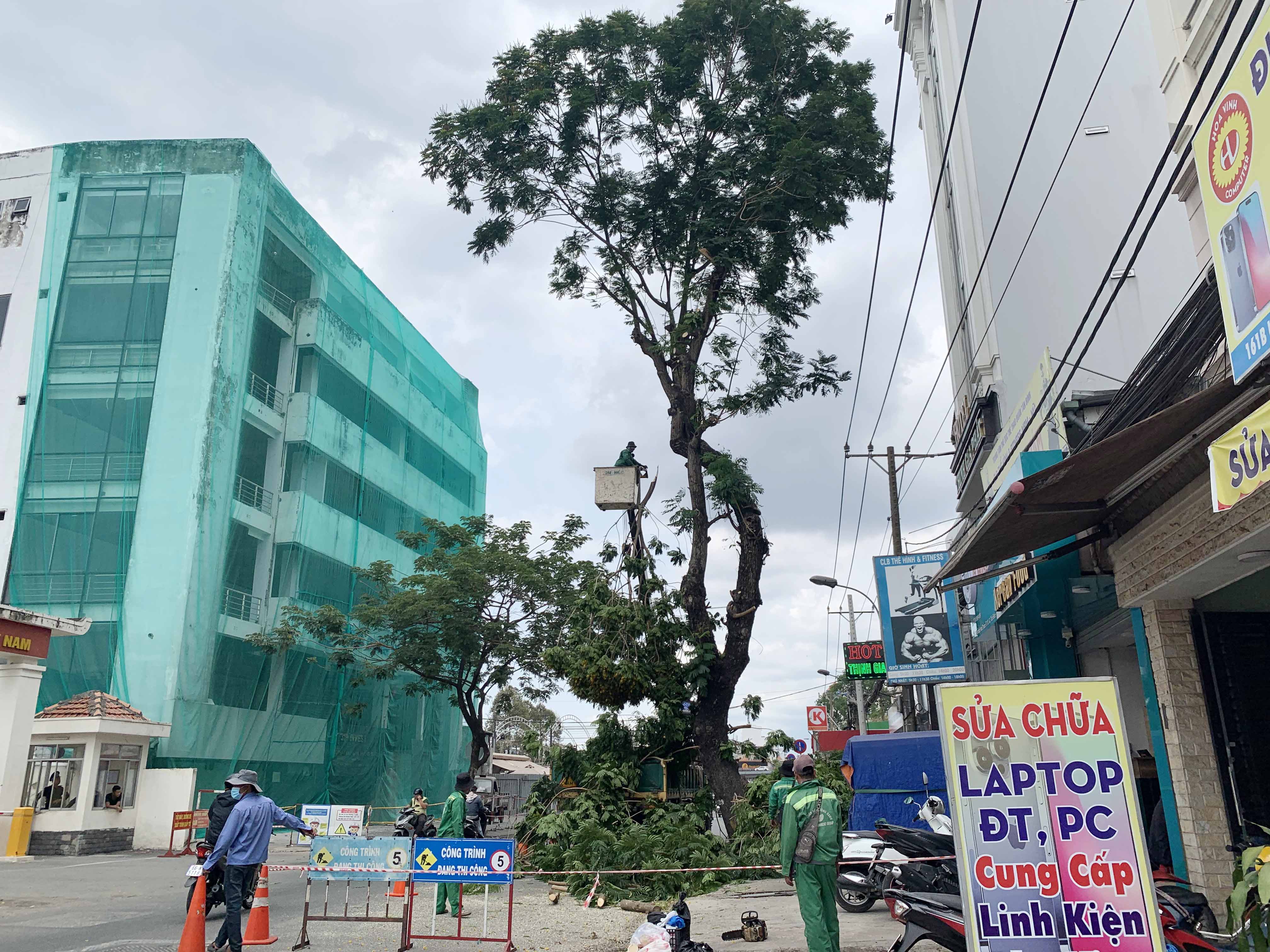 Những ngày qua, cây xanh trên vỉa hè đường Hoàng Hoa Thám, đoạn từ đường Cộng Hòa đến sân bay Tân Sơn Nhất được di dời, đốn hạ để lấy mặt bằng thi công dự án mở rộng đường.