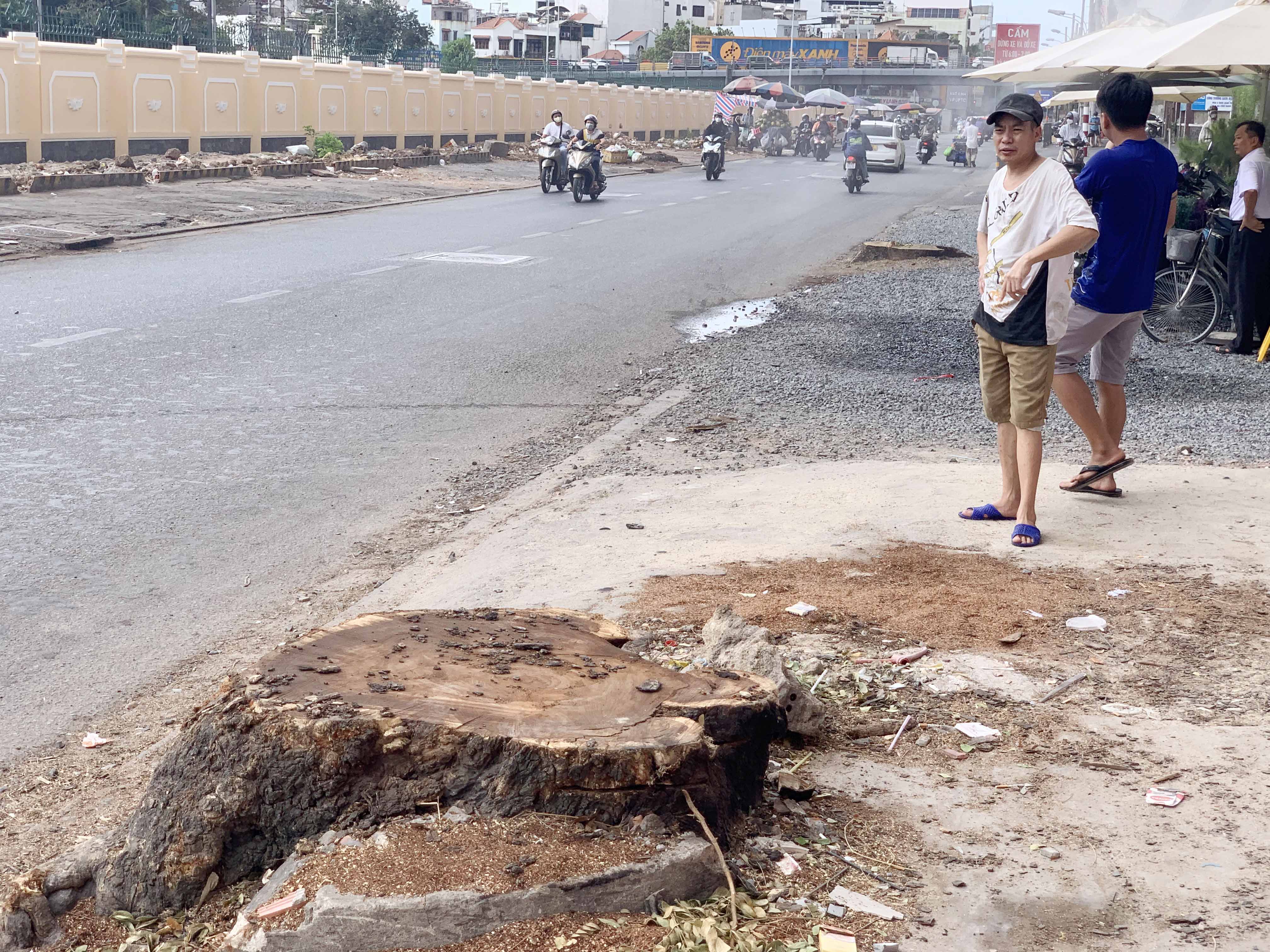 Những gì còn sót lại sau khi cây đã được đốn hạ.