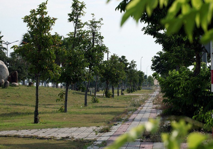 Một khu vực trồng cây xanh ở TP Tuy Hòa, tỉnh Phú Yên. Ảnh: VŨ XUÂN