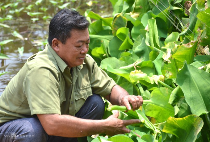 Ngoài nhiệm vụ chuyên môn, ông Nguyễn Văn Hải cùng đồng đội còn trồng rau, nuôi cá để cải thiện bữa ăn. Ảnh: An Minh