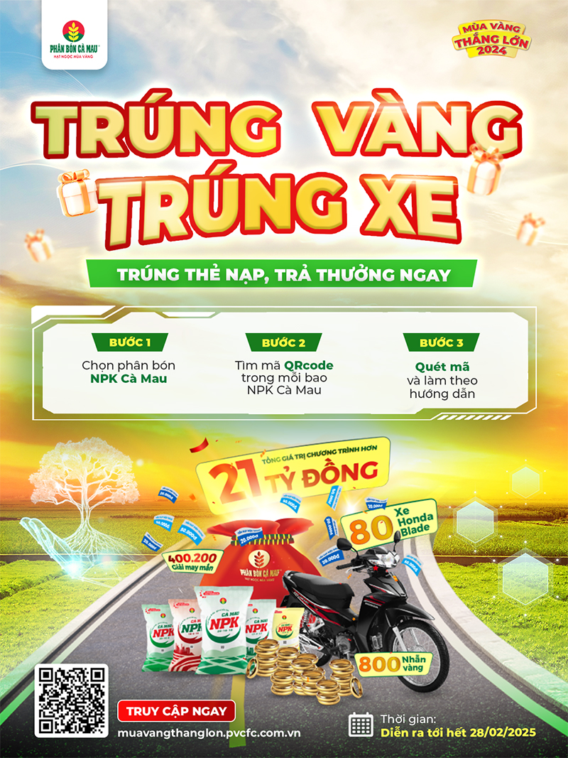 Mùa Vàng Thắng Lớn 2024: Trúng vàng, trúng xe, trúng thẻ nạp điện thoại trả thưởng ngay