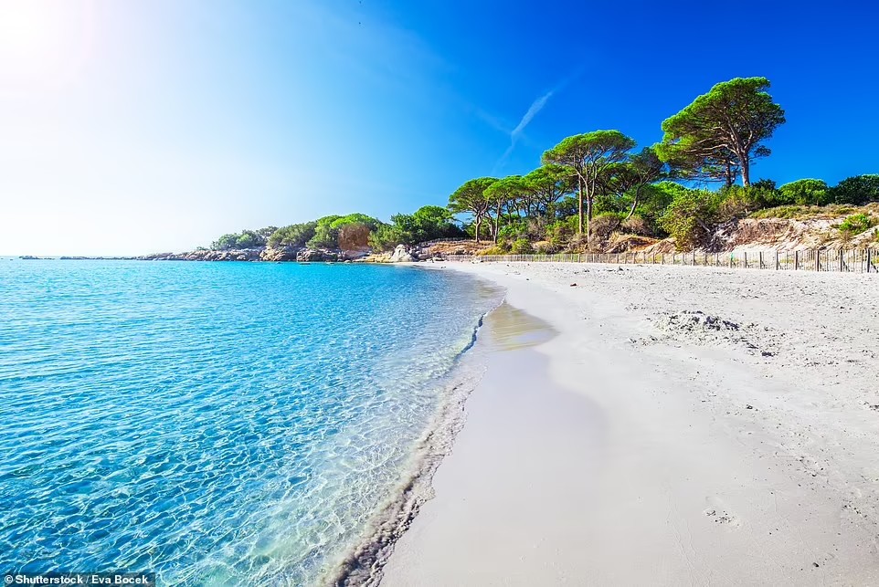 Plage de Palombaggia là một bãi biển tuyệt đẹp trên đảo Corsica, Pháp. Mặt nước ở đây tĩnh lặng, thích hợp là nơi để bơi lội và lặn với ống thở. Đồng thời nơi này cũng có nhiều không gian để tắm nắng.