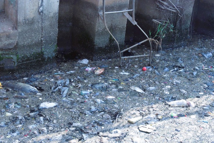 Sau mưa, cá chết, rác nổi lềnh bềnh trên kênh Nhiêu Lộc