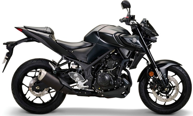 2024 Yamaha MT-25 cập nhật màu mới, hút dân tập chơi - 3