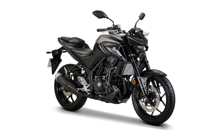 2024 Yamaha MT-25 cập nhật màu mới, hút dân tập chơi - 2