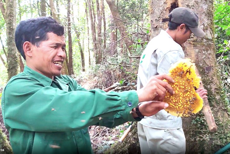 Bên cạnh tên gọi mật ong hoa sâm Ngọc Linh, nhiều người còn gọi là mật ong đắng tuy vậy không phải vị đắng ngắt mà người ăn sẽ cảm thấy đắng nhẹ nơi đầu lưỡi
