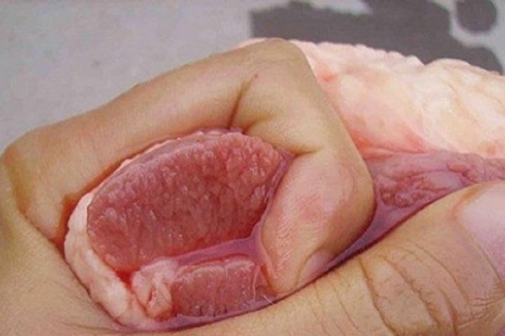 Đi chợ mua thịt lợn chỉ cần nhìn 5 điểm này là biết thịt 