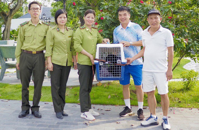 Anh Lương Văn Thế (thứ 2 từ phải qua) bàn giao cá thể vượn đen má hung cho VQG Cúc Phương chăm sóc, nuôi dưỡng