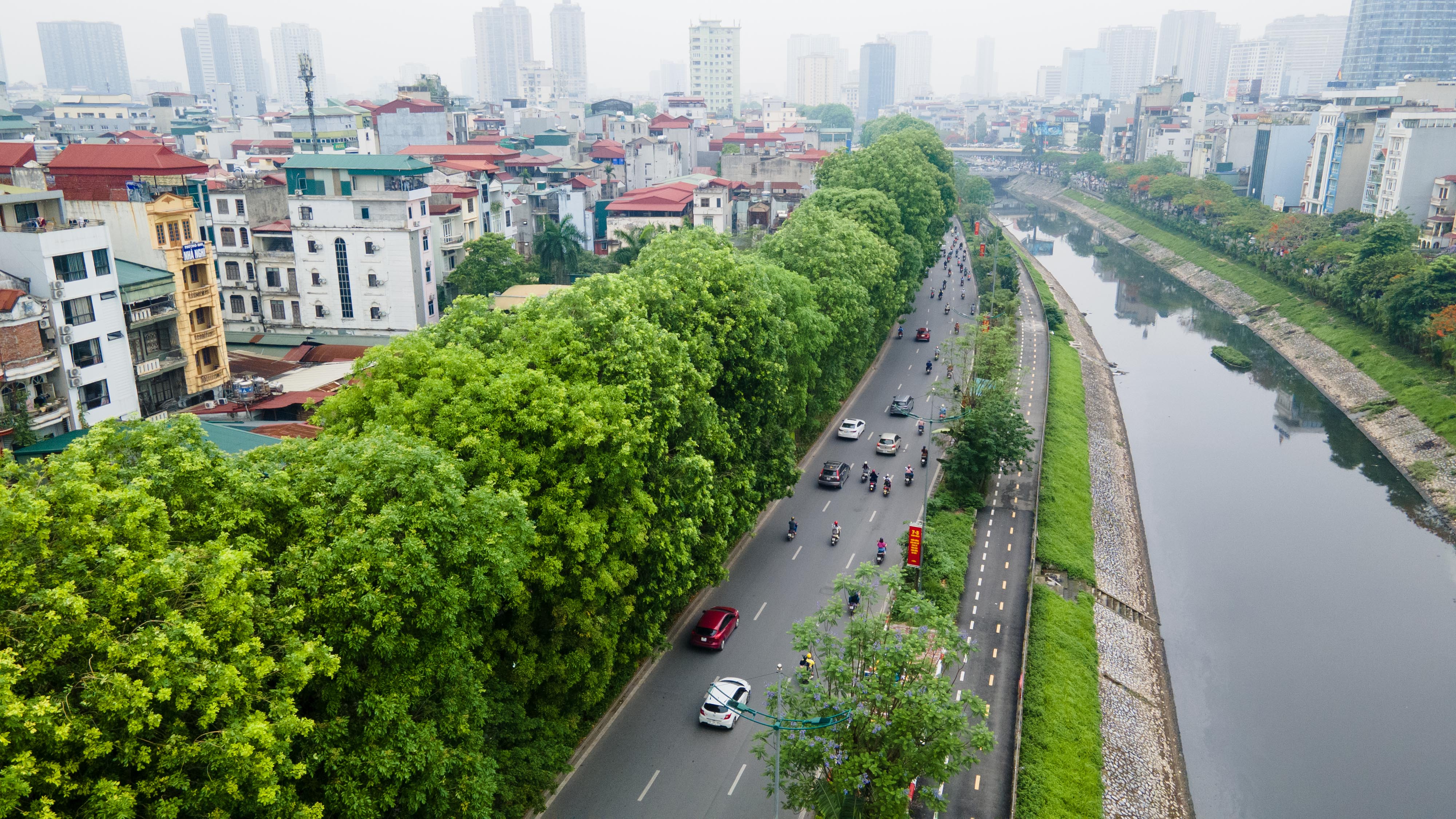 Đường Láng được biết đến có nhiều bóng mát bởi hàng cây xà cừ lâu năm, được trồng suốt toàn tuyến .