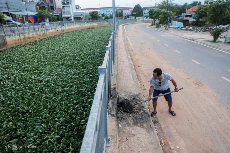 Khoảng 200 m đoạn giao với kênh Tham Lương phủ kín lục bình. Người dân thường xuyên phải dọn rác trên bờ mang đi đốt để kênh không bị ô nhiễm thêm.