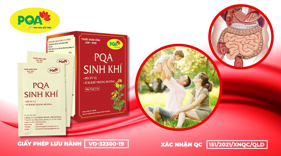 PQA Sinh Khí bồi bổ tỳ vị - ích khí thăng dương