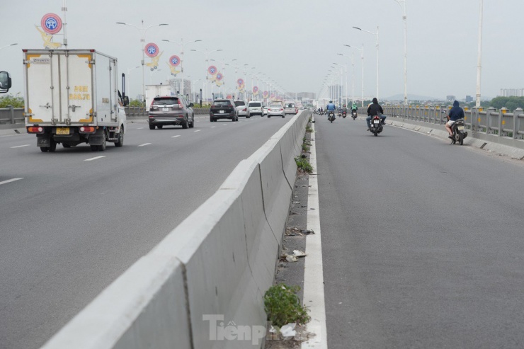 Rác thải tích tụ lâu ngày đủ thời gian để cỏ dại mọc hàng dài trên cầu Vĩnh Tuy.