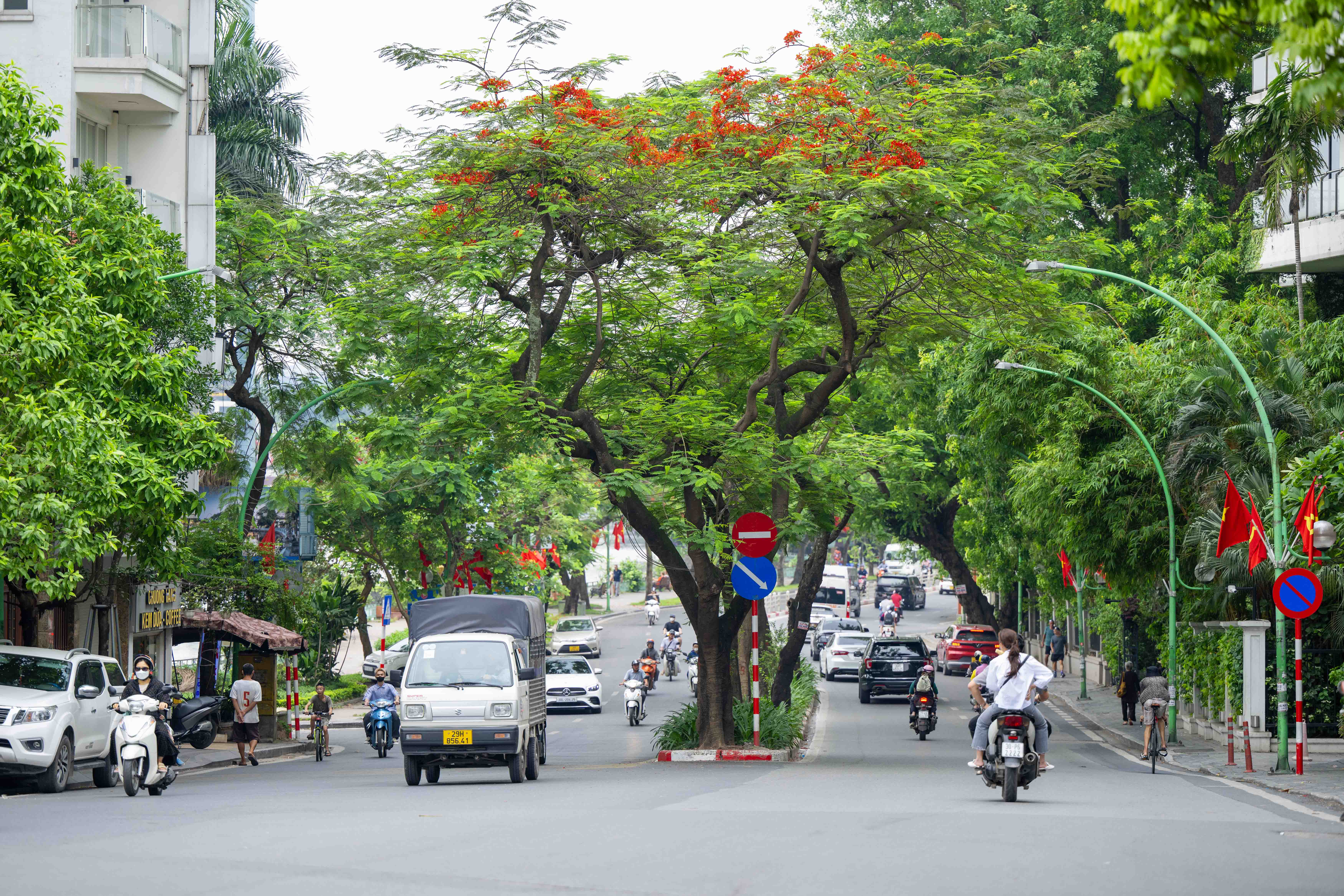 Cảnh sắc tuyệt đẹp trên “con đường lãng mạn nhất Hà Nội” - 3