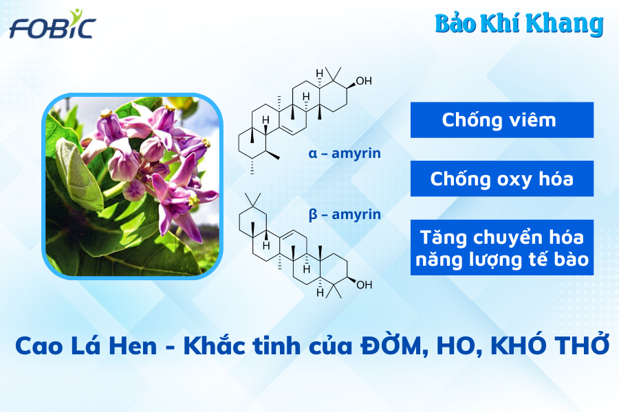 50 năm "vật lộn" với chứng đàm, ho, khó thở, cụ bà bất ngờ thoát bệnh nhờ thảo dược "lạ mà quen" - 3