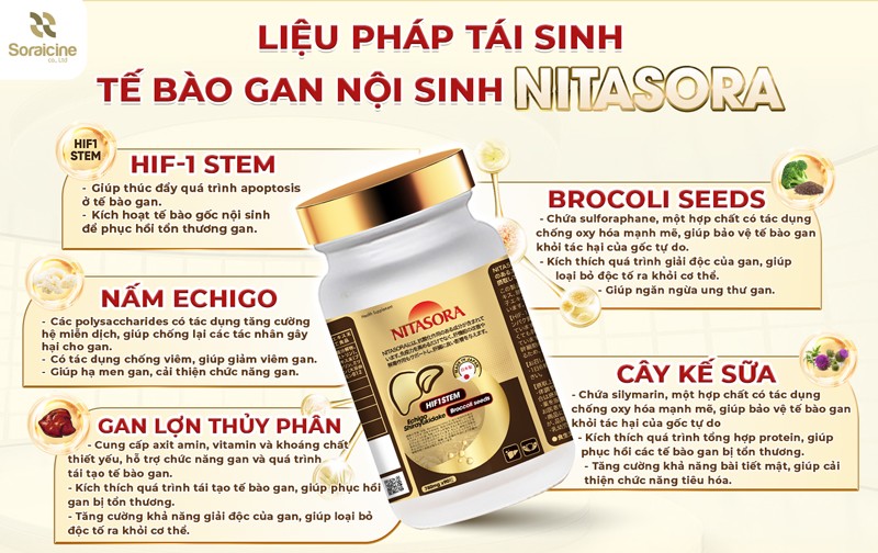 TPBVSK Nitasora: Liệu pháp hỗ trợ bảo vệ gan an toàn, hiệu quả - 3