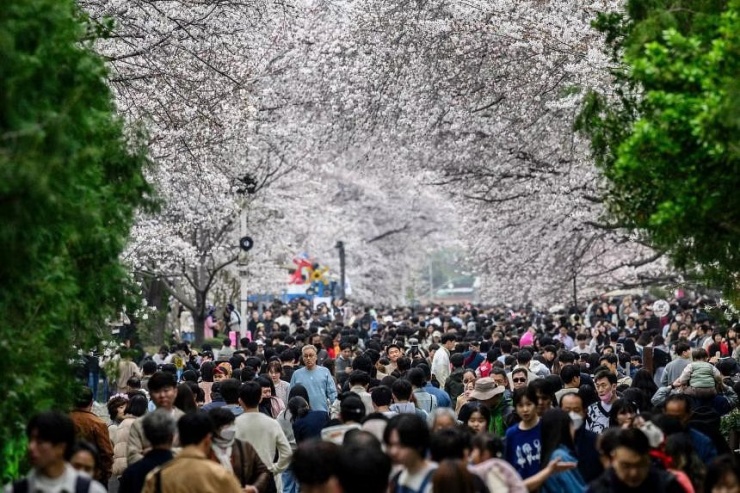 Người dân tại thủ đô Seoul (Hàn Quốc) hồi tháng 3. Ảnh: AFP