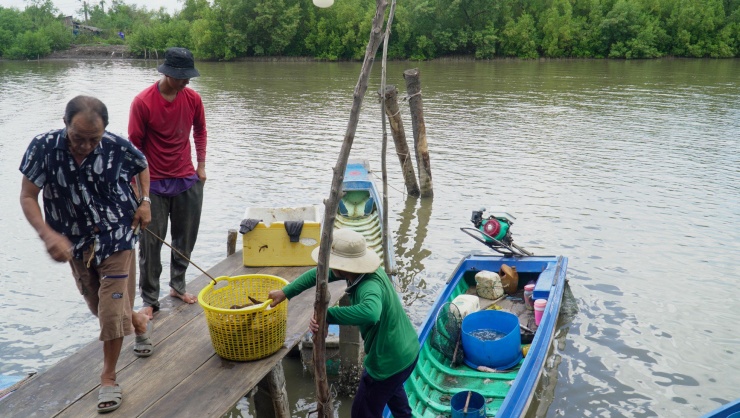 Sau một đêm dài lênh đênh trên biển, những ngư dân làm nghề câu kiều trở về với chiến lợi phẩm đầy ắp cá, ghẹ, mực. Không khí nhộn nhịp làm cho người đánh bắt vơi đi nỗi mệt nhọc, có được khoản tiền kha khá lo cho bữa cơm gia đình.