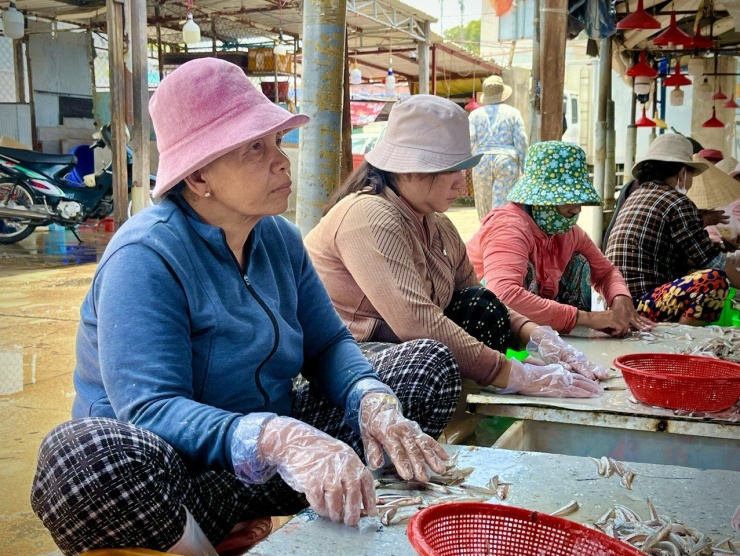 Hàng ngày, những người phụ nữ này thường làm các công việc khác nhau như: giúp việc nhà, phụ hồ, nhặt ve chai… với nguồn thu nhập không ổn định. Đang vào mùa cá cơm, những ngư dân, thương lái cần thuê thêm nhân công nên họ đến đây tìm kiếm việc làm.