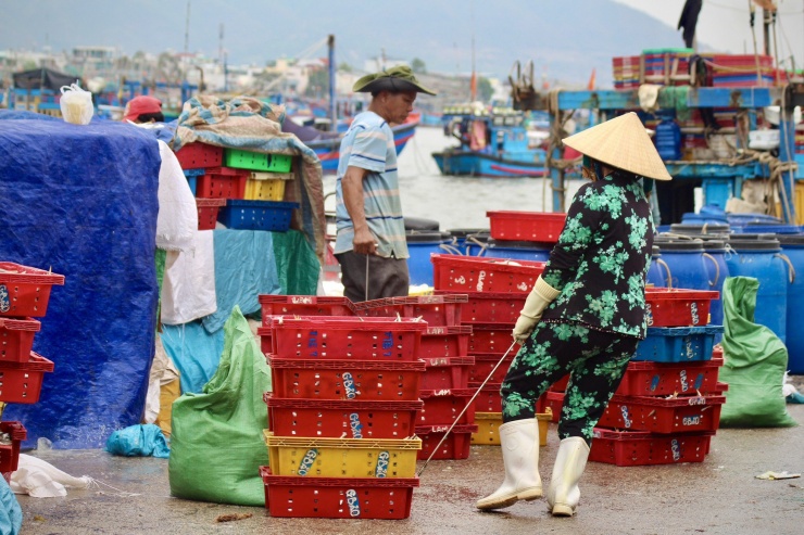 Một số người trẻ hơn, có sức khỏe chọn khuân vác cá thuê. Từng khay cá tươi rói, nặng trĩu được các chị khệ nệ di chuyển từ thuyền ra chợ.