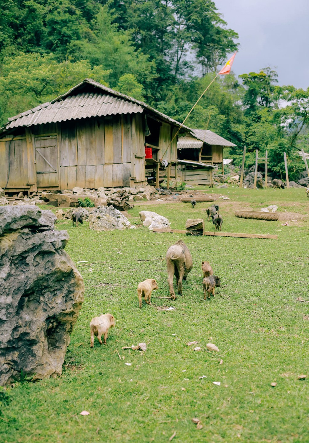 Ghé thăm ngôi làng nguyên sơ ở Mộc Châu, cảm nhận vẻ bình yên “hiếm có khó tìm” - 11