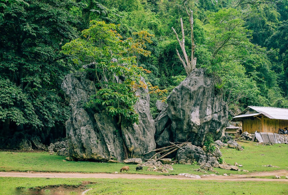 Ghé thăm ngôi làng nguyên sơ ở Mộc Châu, cảm nhận vẻ bình yên “hiếm có khó tìm” - 13