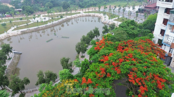 Trong đó, công trình “Vườn hoa hồ phường Thượng Thanh” có tổng diện tích khoảng 10.944m2 gồm: ô quy hoạch B4/CL4 diện tích: 9.795,11m2; ô quy hoạch B4/CL3 diện tích: 1.148,88m2.