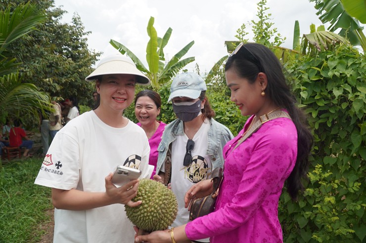 Nhiều người còn mua sầu riêng về làm quà biếu cho người thân và bạn bè.