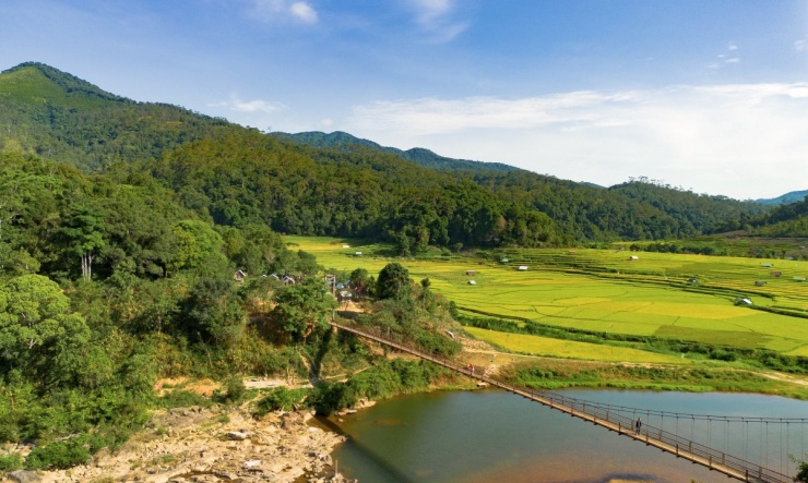 Mùa vàng trên ruộng bậc thang Măng Đen - 3