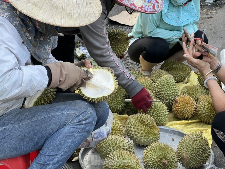 Sầu riêng giá rẻ đắt hàng.