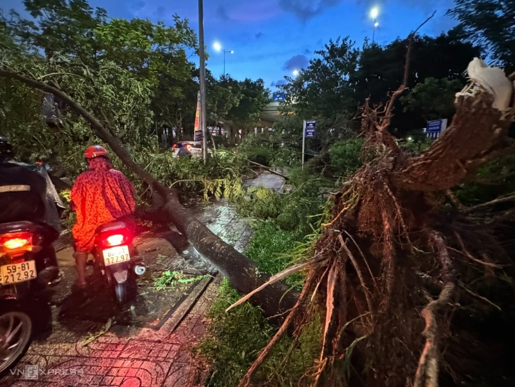 Gần 18h, mưa lớn cùng gió giật mạnh khiến hai cây xanh đường kính khoảng 30 cm ở công viên dưới dạ cầu Sài Gòn bật gốc, đổ ra ngoài chắn ngang một phần đường. Phần nhánh cây đè trúng một ôtô 4 chỗ và hai xe máy chạy ngang qua, song may mắn không gây thương vong.