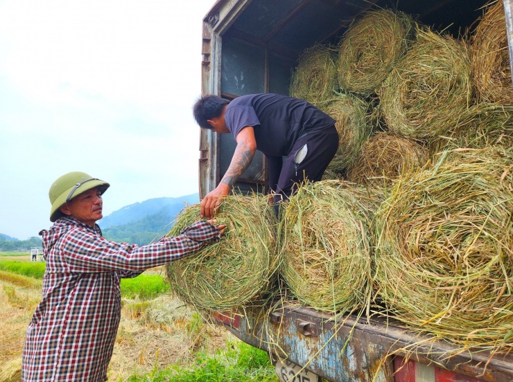 Ảnh: Báo Tiền Phong