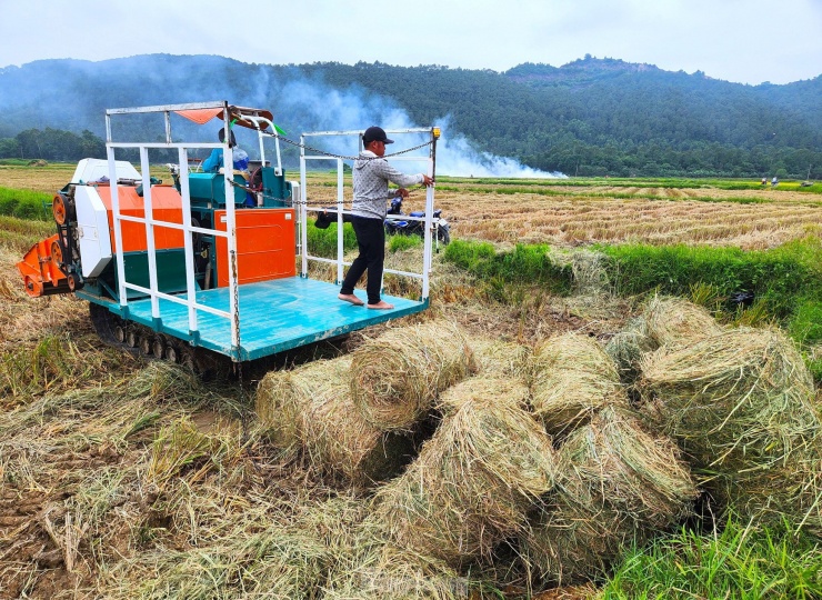 Ảnh: Báo Tiền Phong