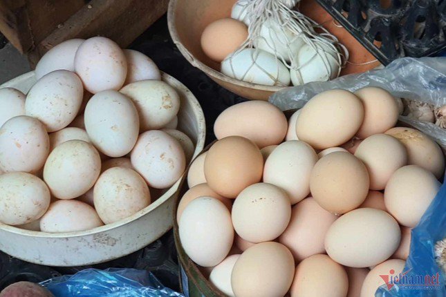Một số loại gia cầm khi đẻ trứng tại các nơi điều kiện vệ sinh không bảo đảm, vi khuẩn Salmonella có thể có ở vỏ trứng.