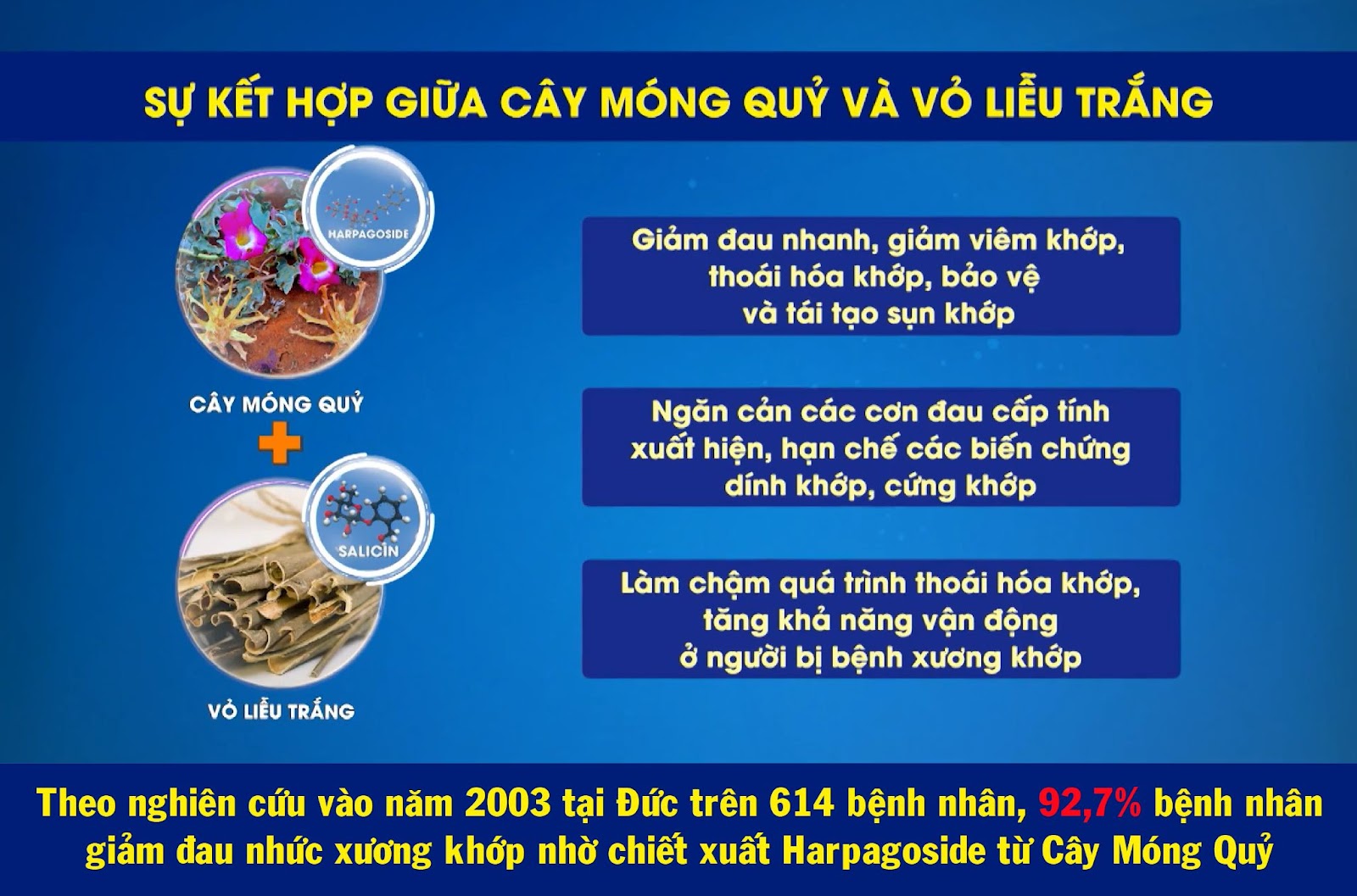 Giải pháp hỗ trợ cải thiện&nbsp;đau xương khớp nổi bật hiện nay&nbsp;