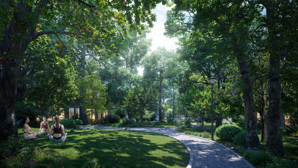 “Tắm rừng” tại Blue Forest