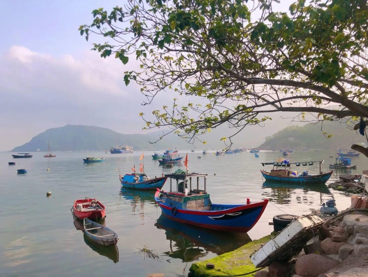 Những làng chài ở Bình Định "đẹp như tranh vẽ" cho bạn trải nghiệm cuộc sống bình yên