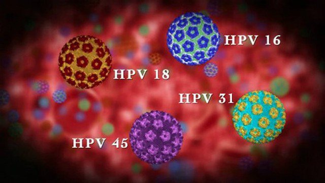 Một số chủng virus có thể gây gây ung thư như HPV 16 và 18.