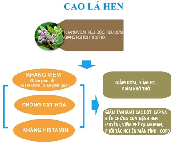 Bật mí loại cây "khắc tinh" đàm, ho, khó thở, trồng đầy vườn không phải ai cũng biết! - 3