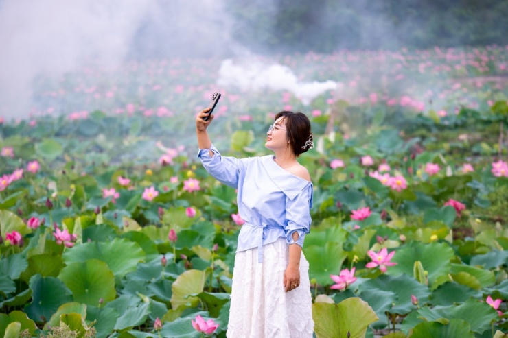 Mùa sen nở rộ ở Trà Lý - 6