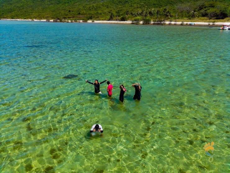 Đến Vịnh Vân Phong tắm biển trong xanh, khám phá thiên nhiên hoang sơ
