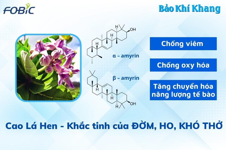 Sai lầm "chí mạng" khi lạm dụng thuốc xịt, thuốc hít, kháng sinh khi đàm, ho, khó thở tái phát - 4