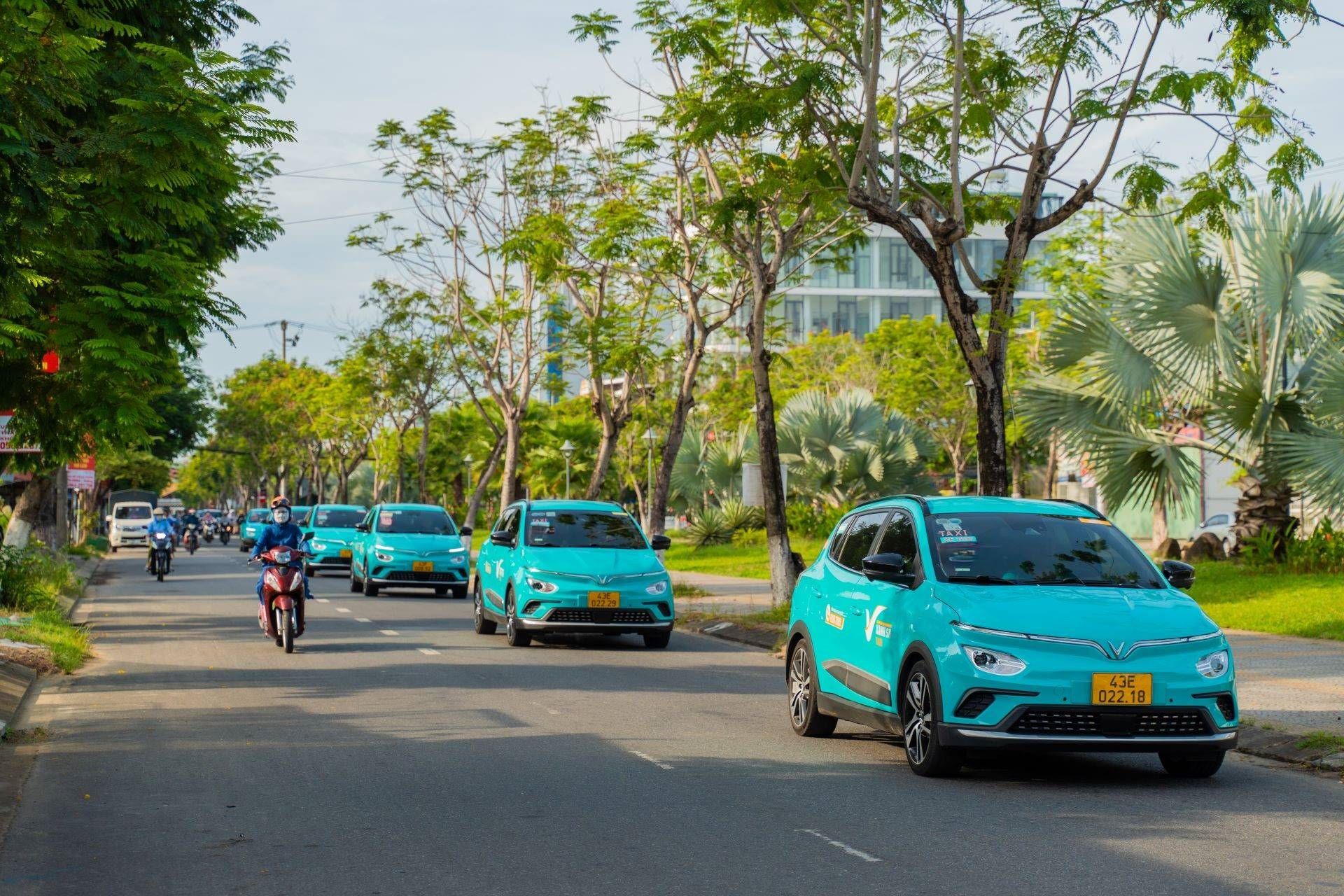 GSM triển khai chương trình “Mùa hè Xanh vì Tương lai xanh” - 1