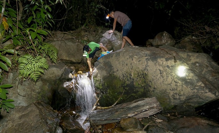 Điểm đặc biệt của loài ốc này là chúng sống ở trên núi và ăn cây thuốc, rễ cây, lá non...&nbsp;
