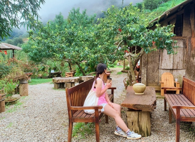 Mùa 'có căn mới săn được mây' ở Tà Xùa - 10